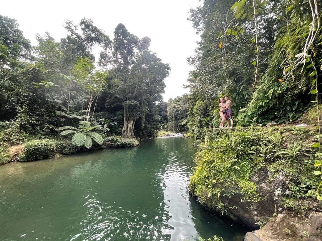 Half Day Rainforest Tour from San Juan, Puerto Rico