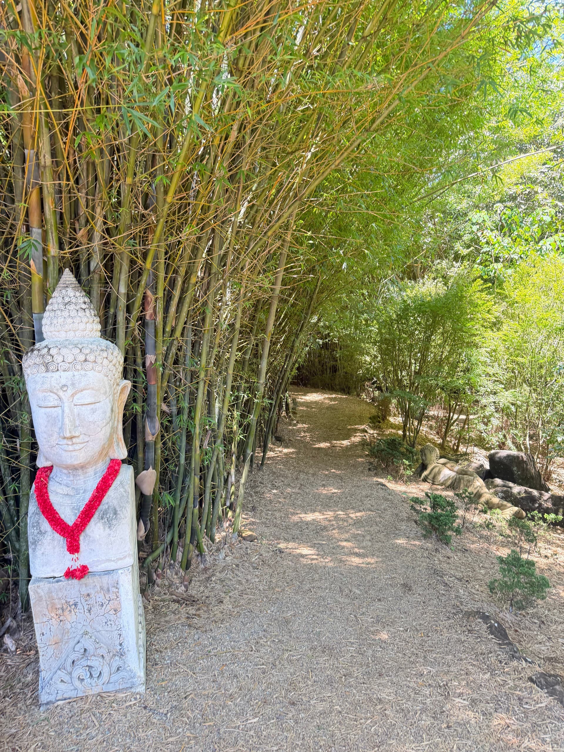 Sunshine Coast Day Trip Glass House Mountains Maleny Botanic Gardens & Bird World photo 1