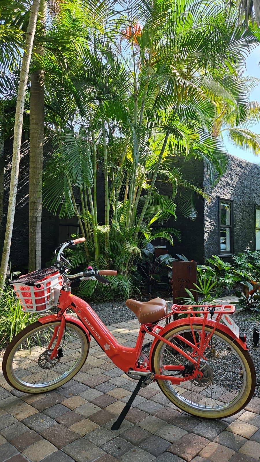 Ebike Adventure in Palm Beach with Palm Beach Ebike Rentals