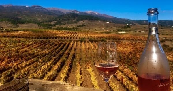 Wine Tasting & Cultural Adventure in Tenerife with FEEL TENERIFE
