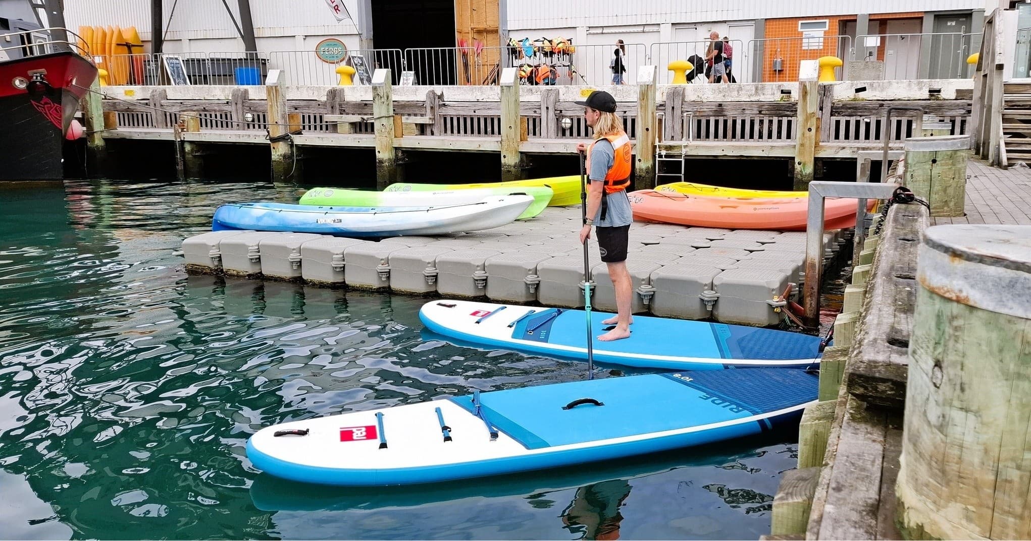 Paddle Wellington Harbour: Kayak and SUP Rentals from Shed 6 on Queens Wharf