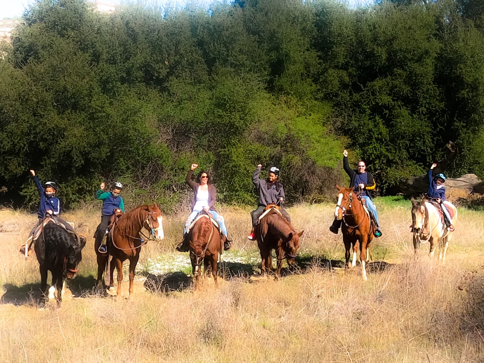Vin Hesten Trail Rides fleet