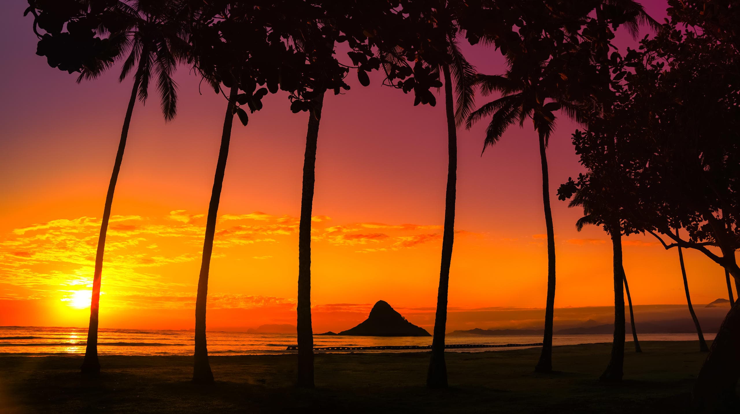 Land-Adventures & Water-Activities: Oahu Circle Island Tour