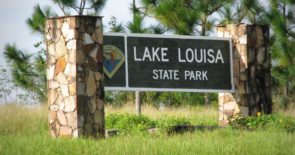Master Equestrian Skills with Riding Lessons in Clermont, Florida