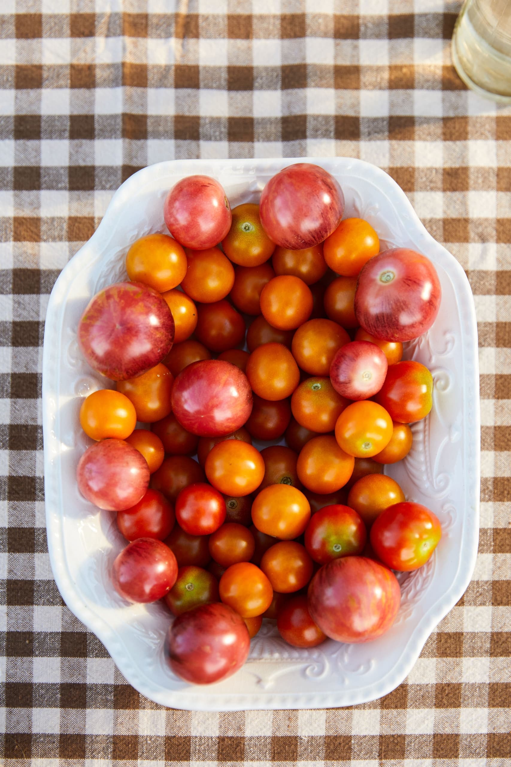 Food & Drink at Beetlebung Farm: Tomato Tasting Experience
