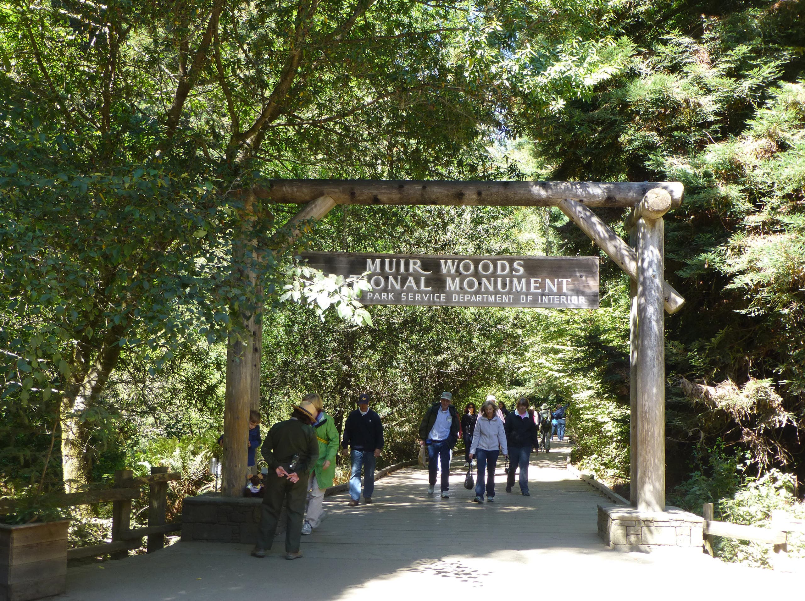 California Redwoods Adventure with San Francisco Tours and Activities