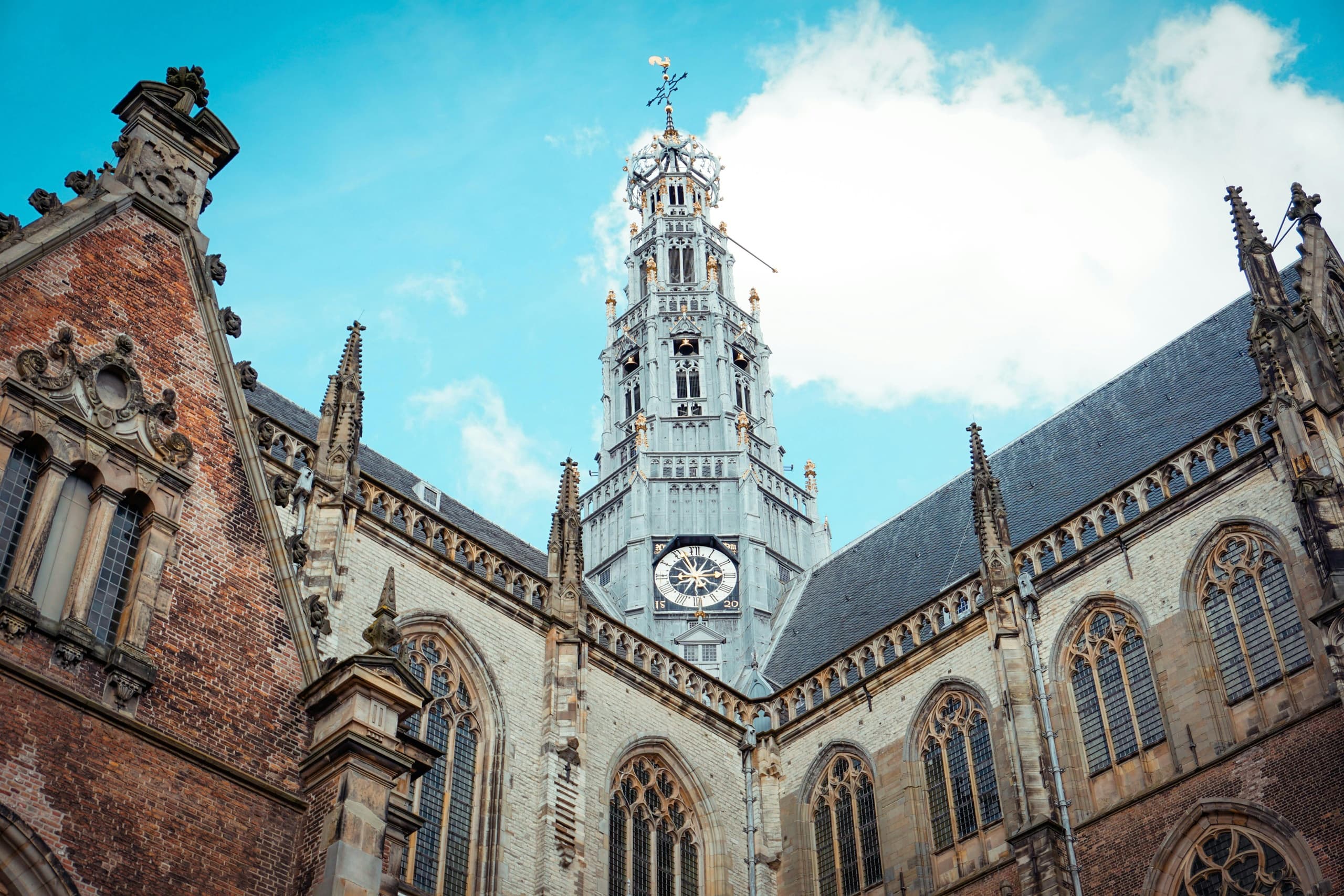 Private Haarlem City Tour: Tulips, Frans Hals & WWII History from Amsterdam photo 1