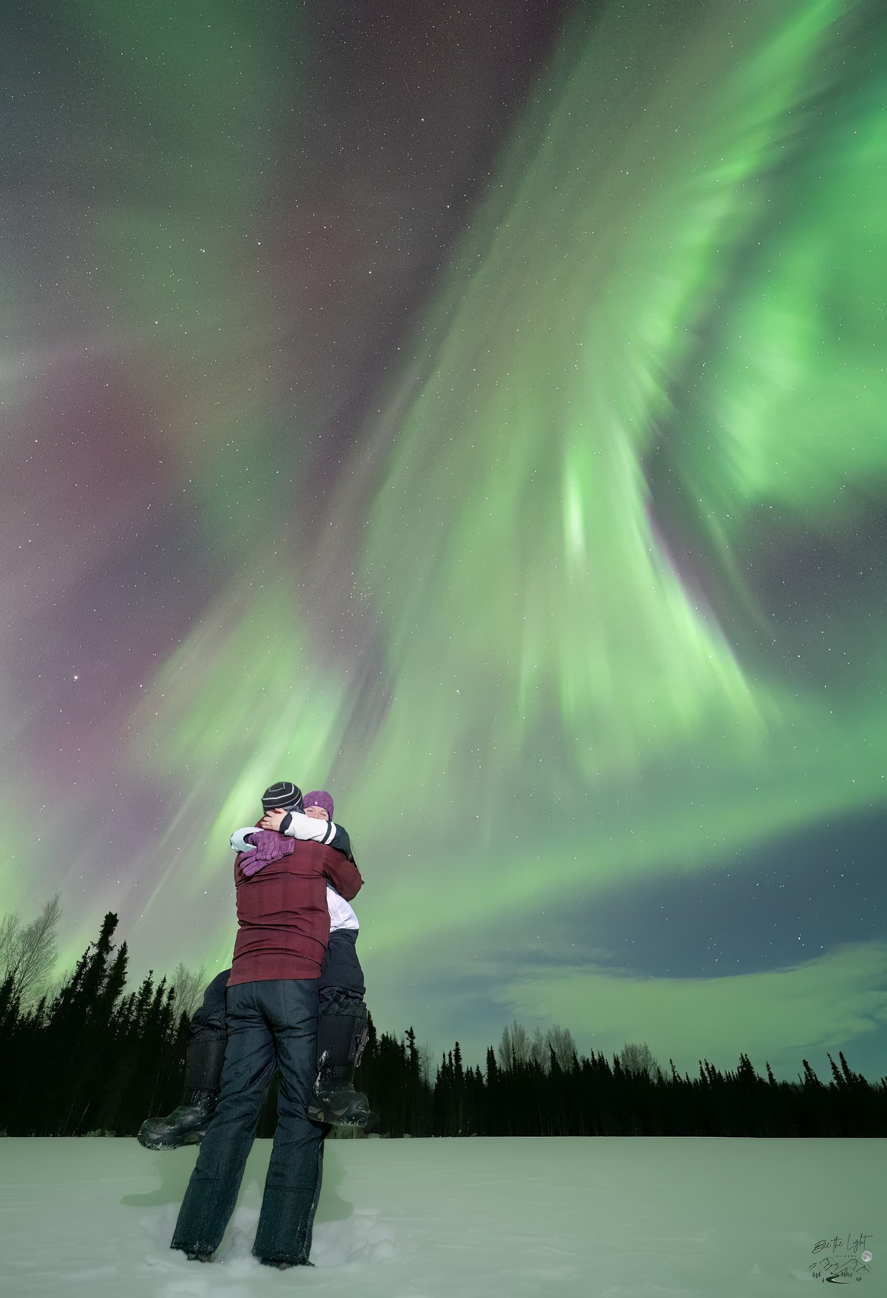 Dog Sledding Under the Northern Lights: Night Mushing & Aurora Viewing in Ester, Alaska