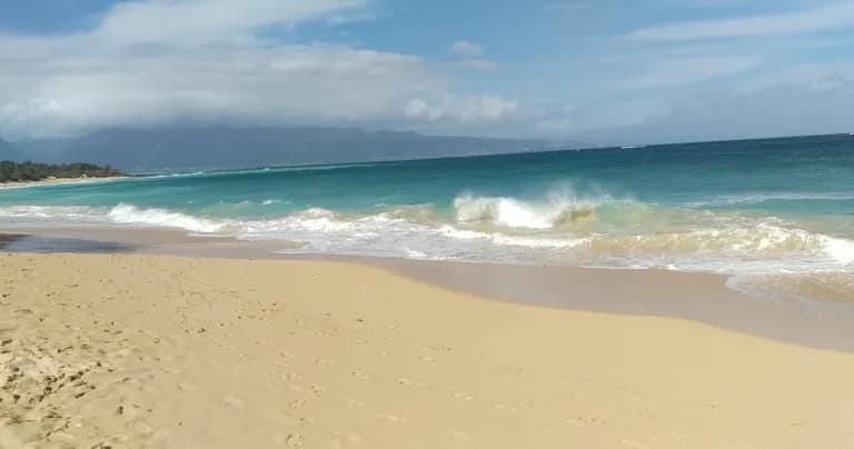 Beach Gear Rental fleet