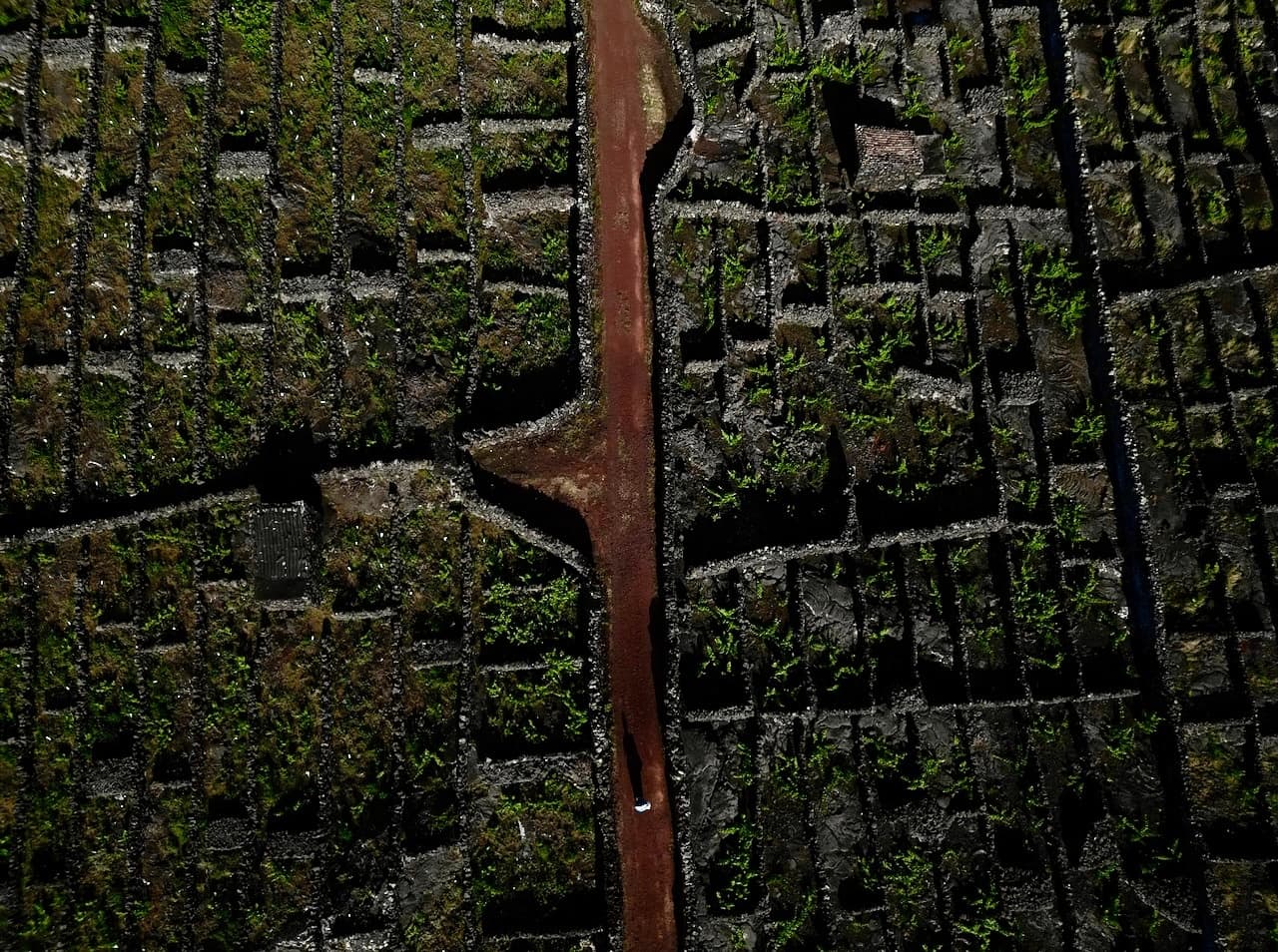 Volcanic Secrets: Private Pico Wine & Gastronomy Inside a Lava Cave photo 2