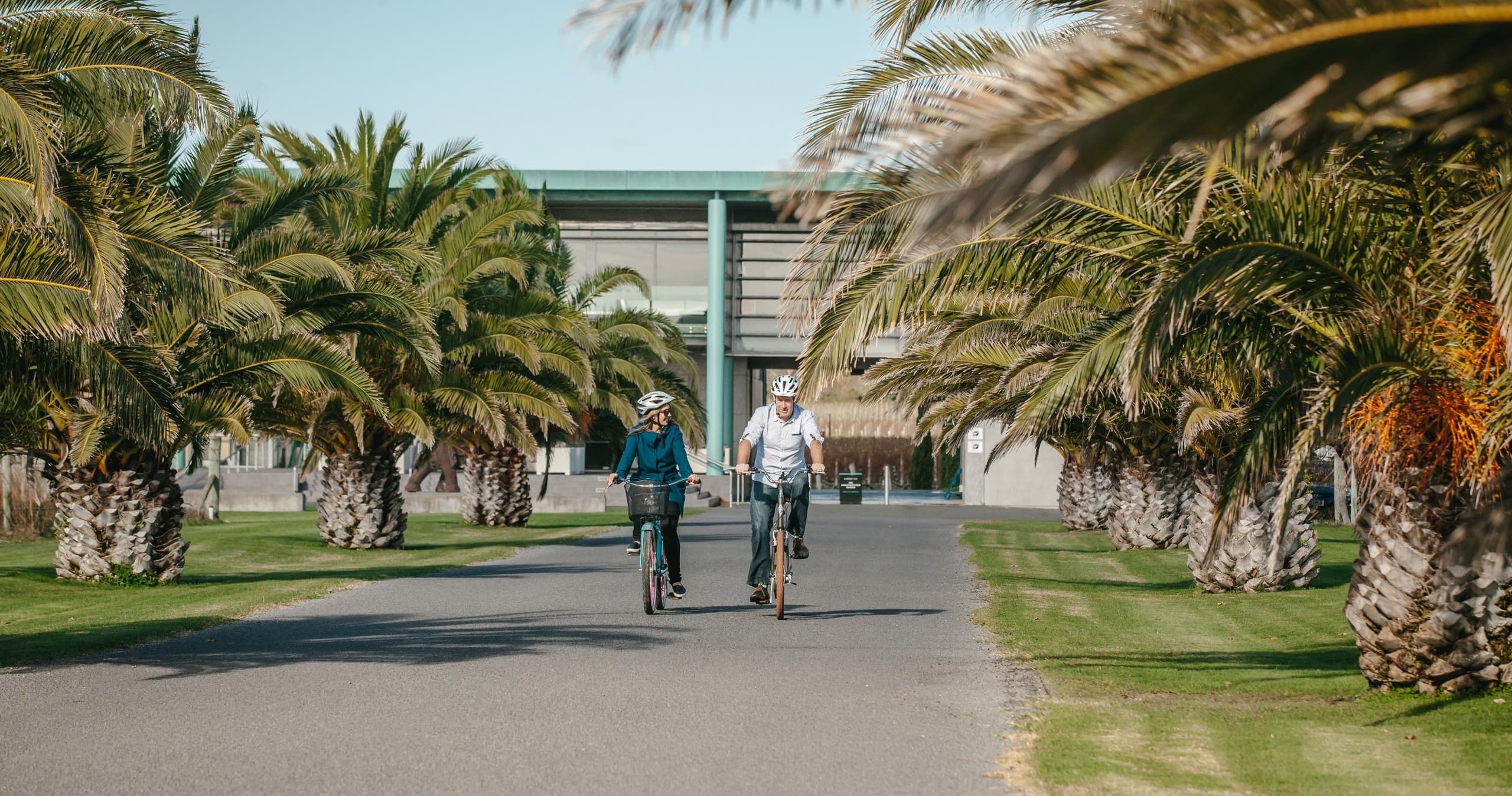 Napier City Bike Hire’s Coast to Country Cycling Tour