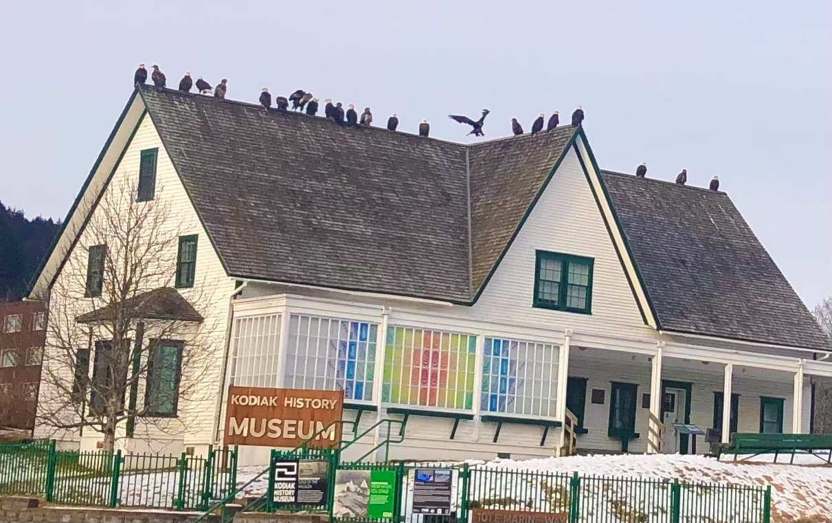 Kodiak history museum exterior with seabirds perched on roof