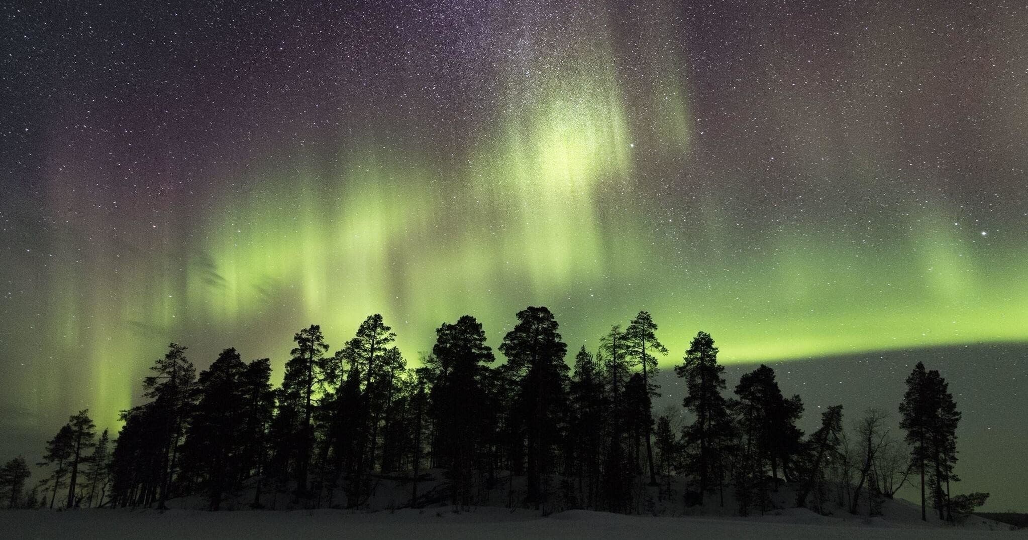 Winter Wildlife & Aurora Snowshoeing at Wilderness Hotel Nellim