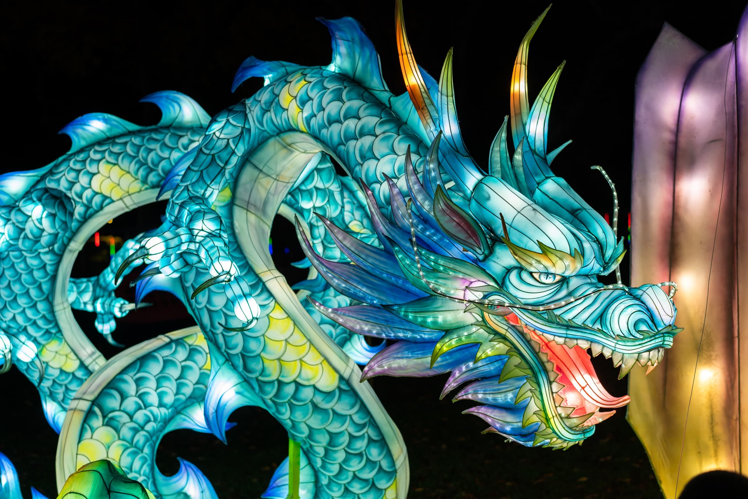 Illuminated dragon lantern at Winter Lantern Festival in Lawrenceville