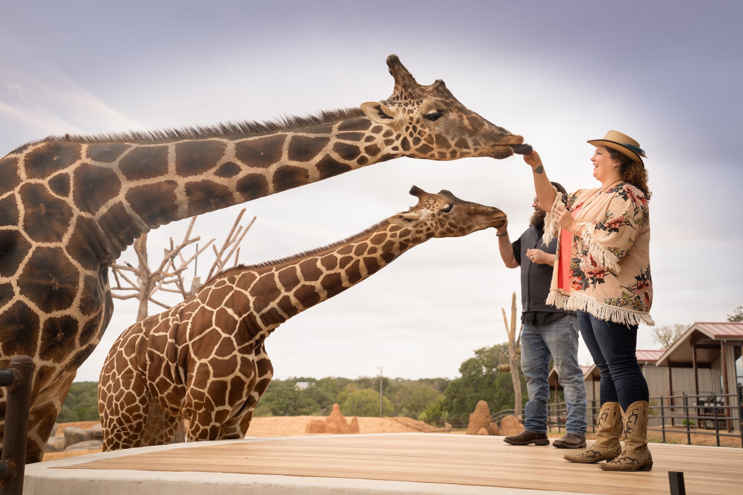 Private VIP Animal Tour in Fredericksburg, Texas
