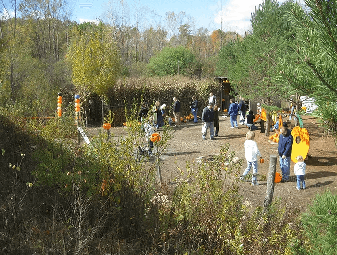 Family Pumpkin Patch Train Ride | Mohawk Valley Heritage Railroad
