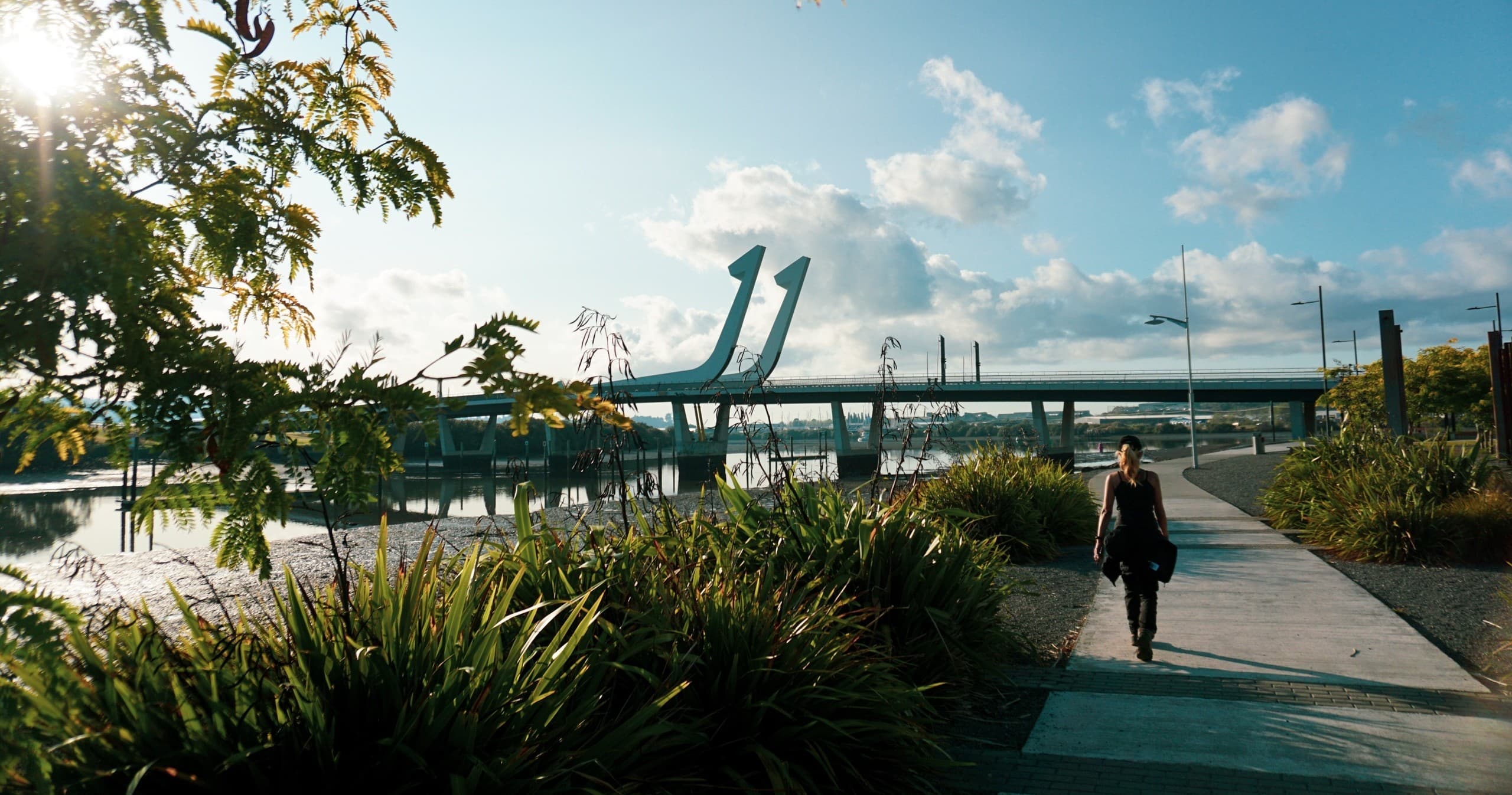 Private Mobile eBike Hire in Whangārei — Custom Group Rides