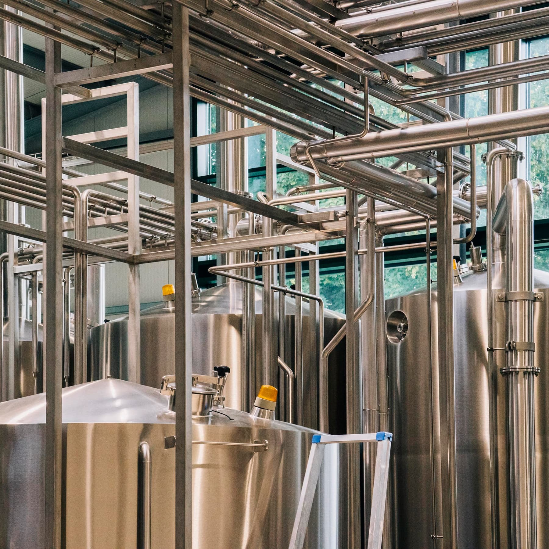 Craft Beer Tour & Tasting at Berliner Berg, Berlin