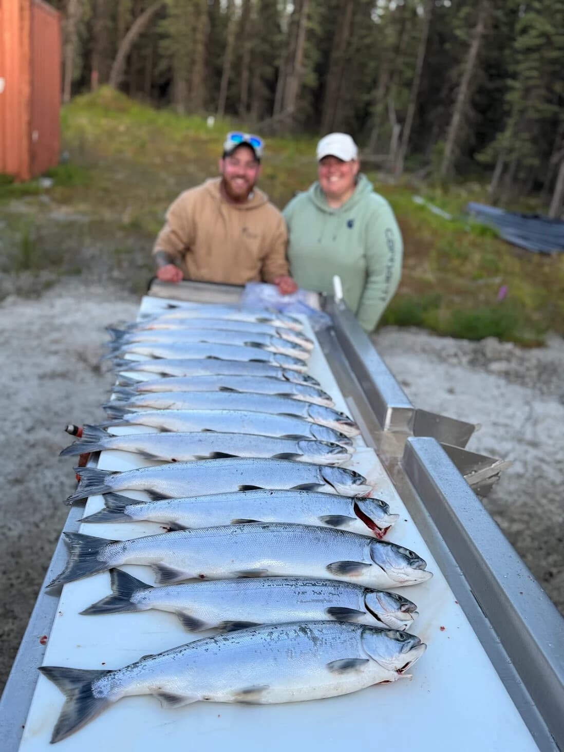 Kenai River Full-Day Sockeye Fishing: Guided Trip from Soldotna photo 1