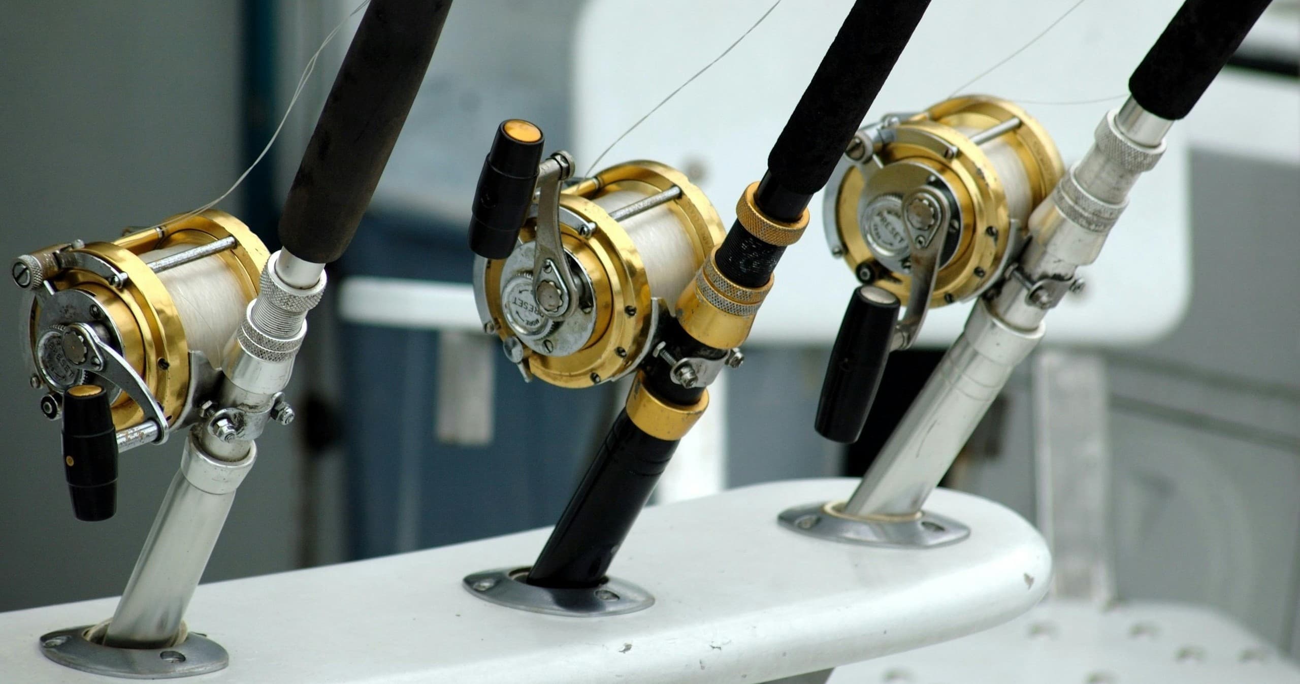 Offshore Fishing Thrills with Reel Floridian in Jupiter