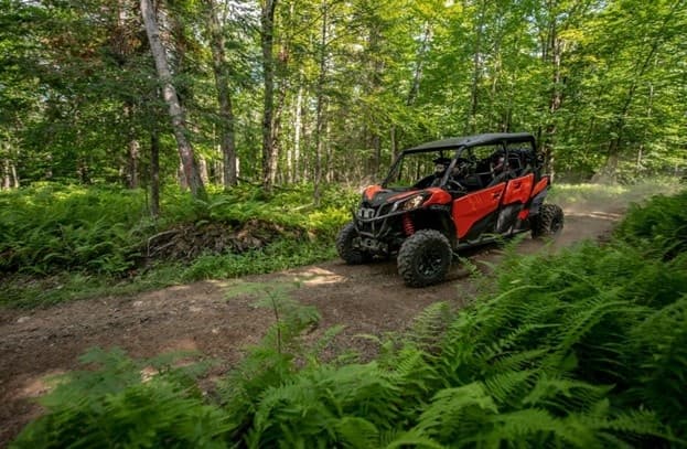 Off-Road Adventure at Big Bear Adventures in Indian River