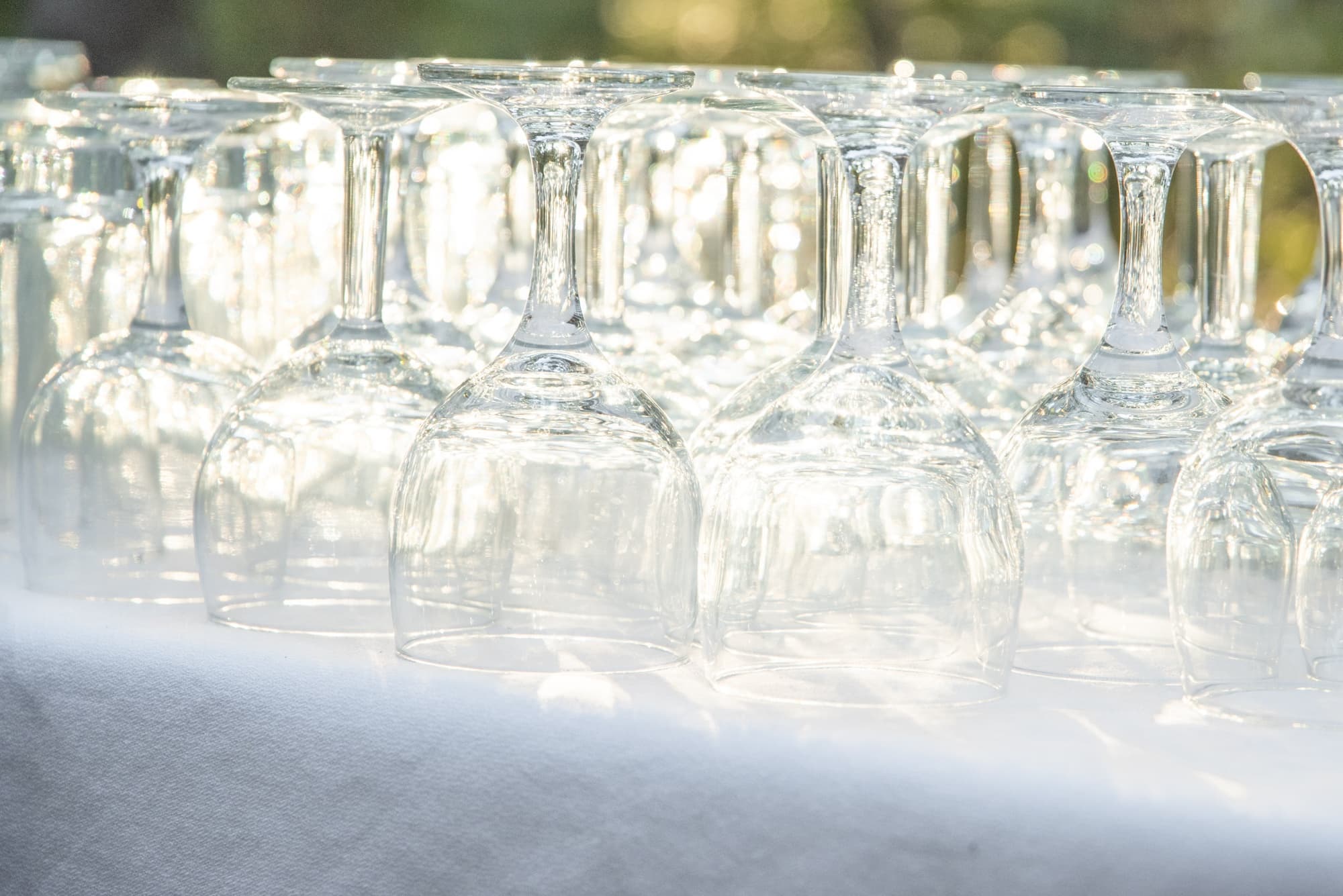 Wine by the River: Riverside Sips in Georgetown, SC