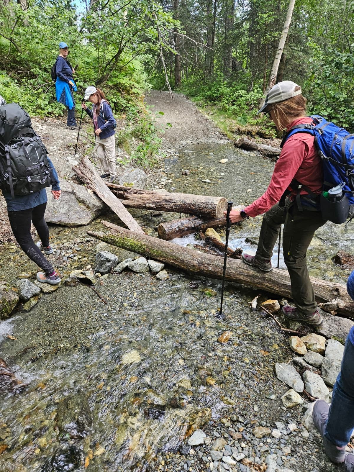 Leisurely Hiking at Wolverine Creek Trail in Palmer, AK