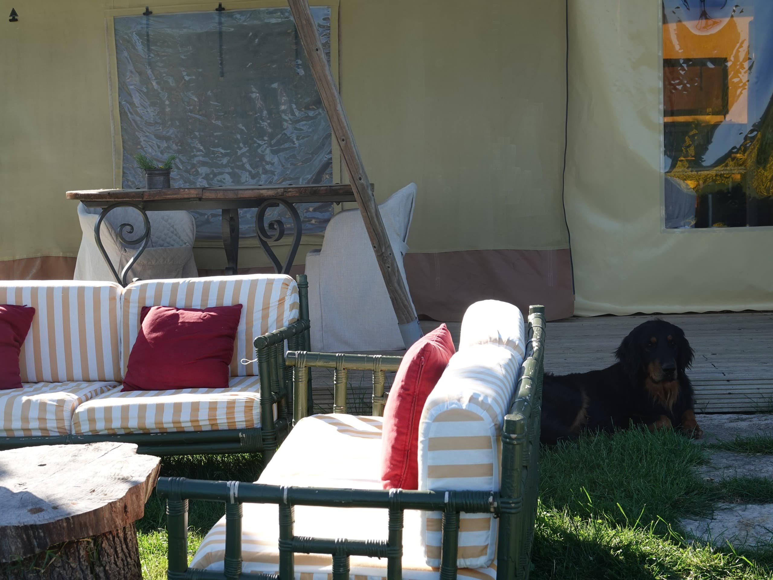 Glamping lounge area on countryside lawn with dog
