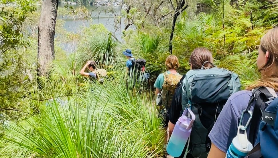 Land Adventures: Silver Award Hike in Berowra Valley National Park