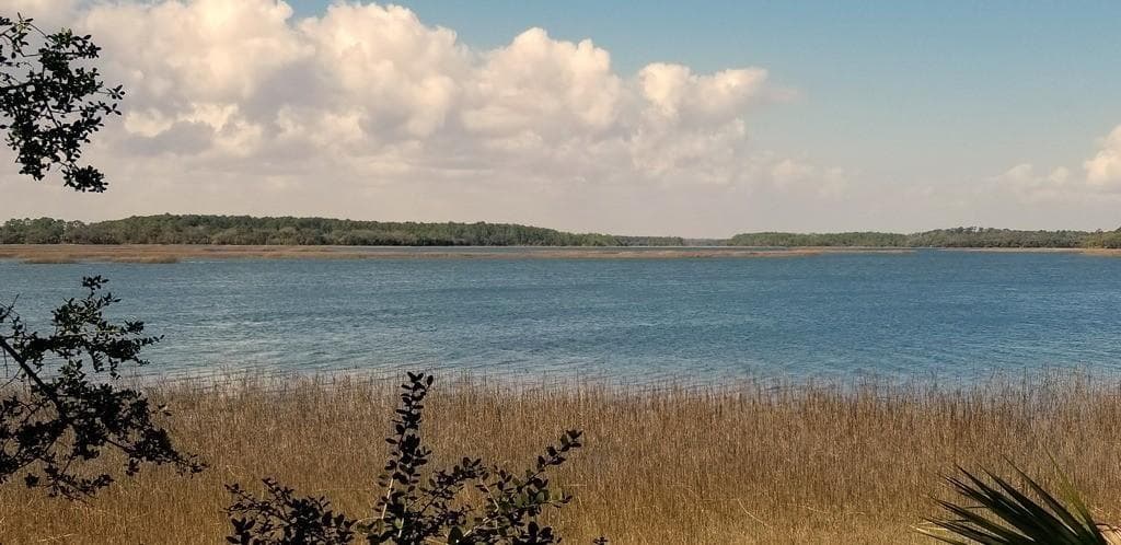 Wildlife & Water Adventures at Pinckney Island
