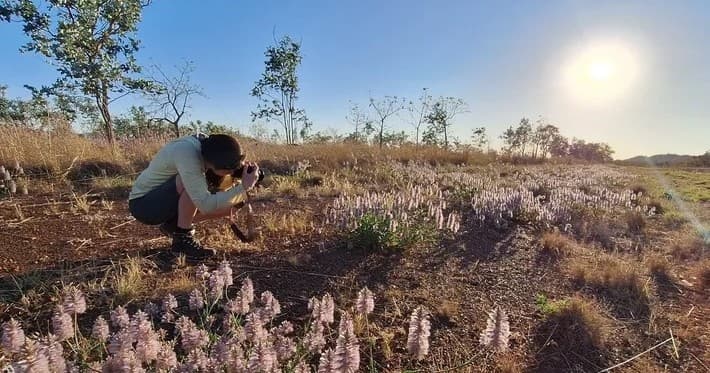 Photographer crouching among wildflowers in sunlit savanna