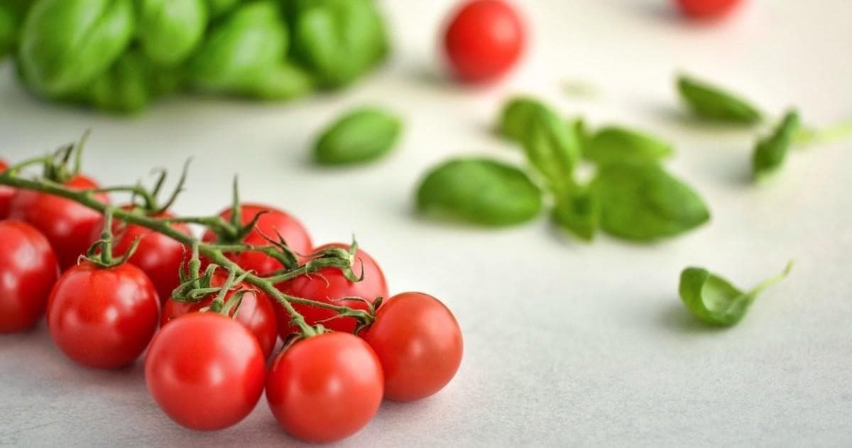 Exploring Ocala’s Downtown Culinary Gems: A Local Food Tour Experience