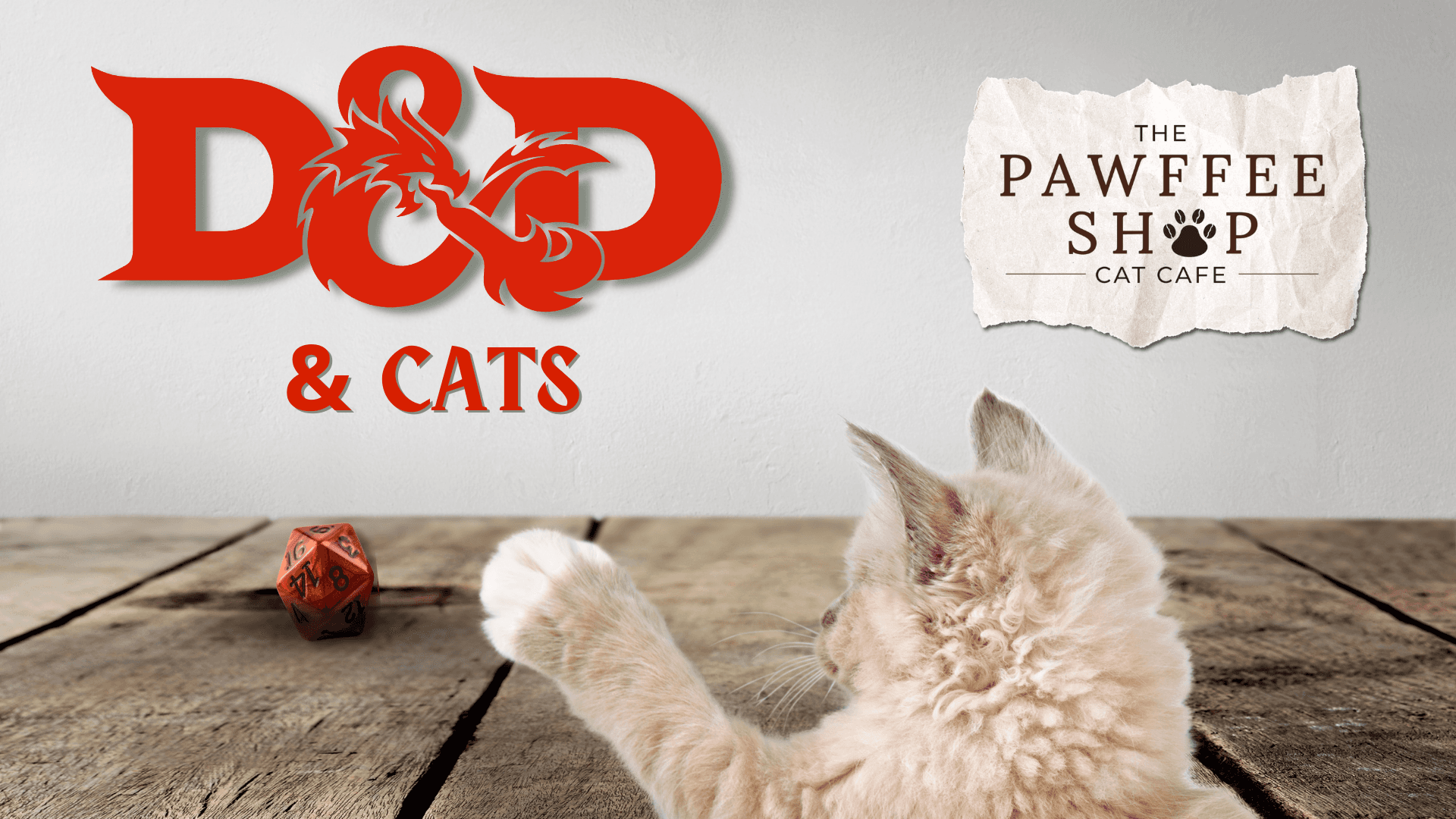 D&D With Cats: Tabletop Adventure and Cat Lounge in Appleton, WI