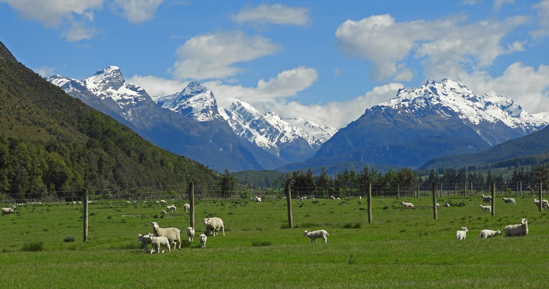 Land Adventures in Queenstown with Private Discovery Tours
