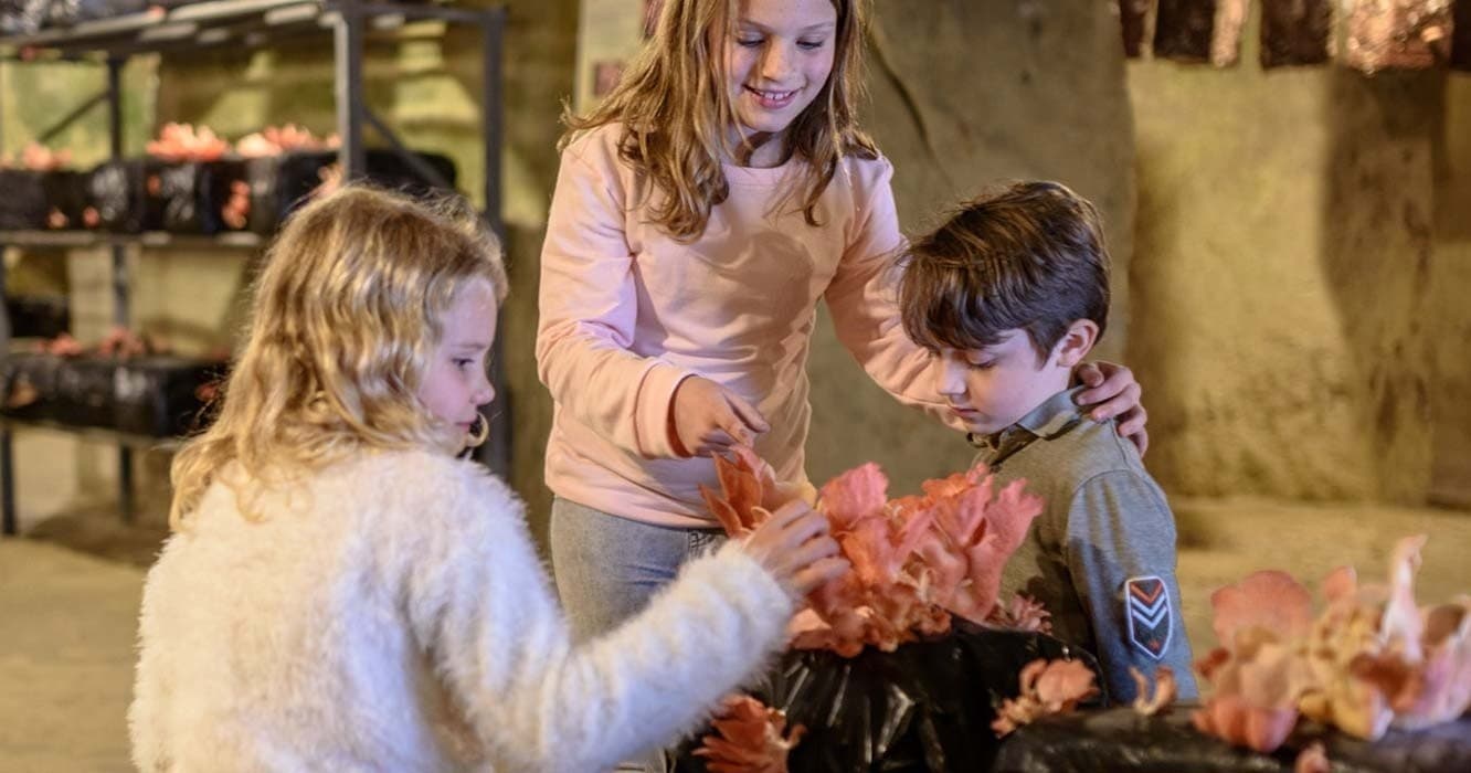Children learning plant care inside troglodyte greenhouse workshop