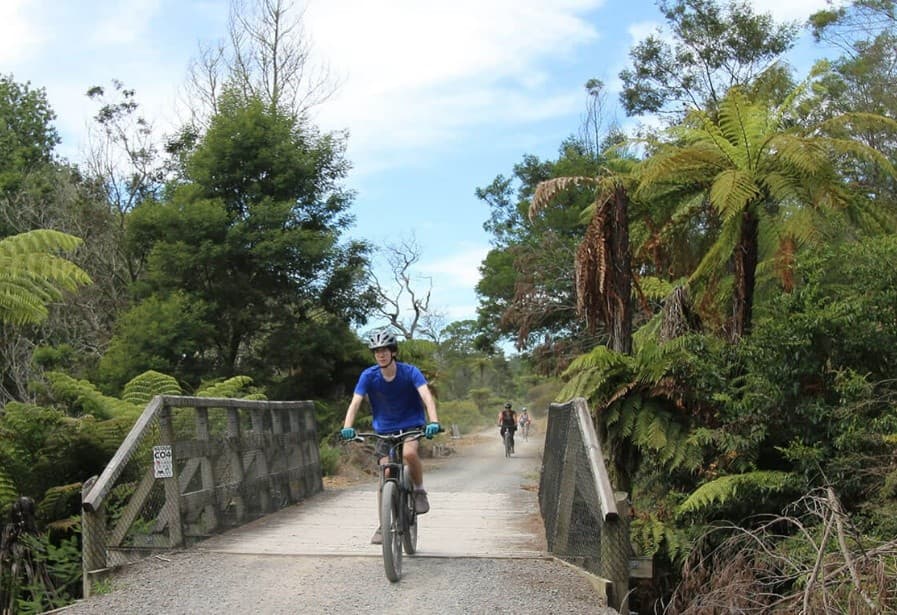Karangahake Gorge Adventure: Ebike the Hauraki Rail Trail from Auckland photo 1