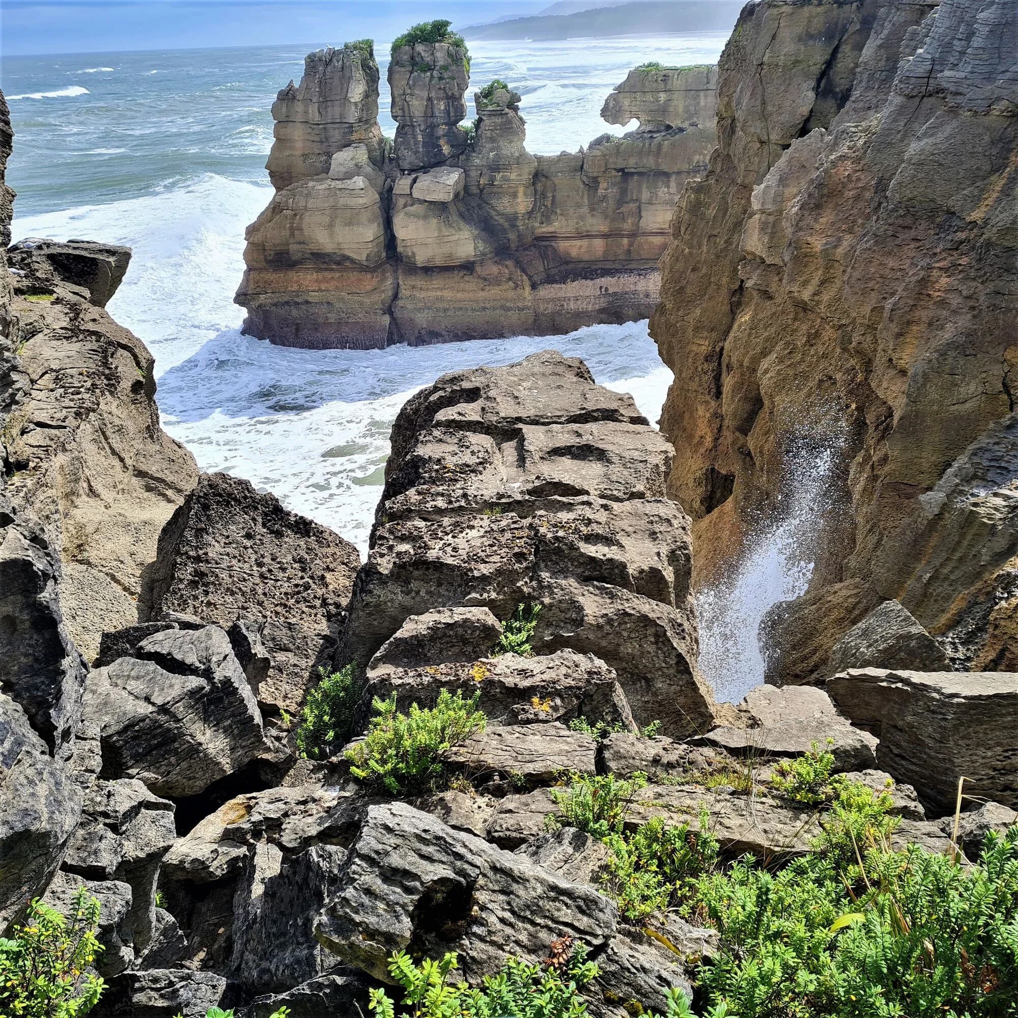 West Coast Scenic Taste Tour: Full-Day Punakaiki, Seals & Craft Tastings from Greymouth