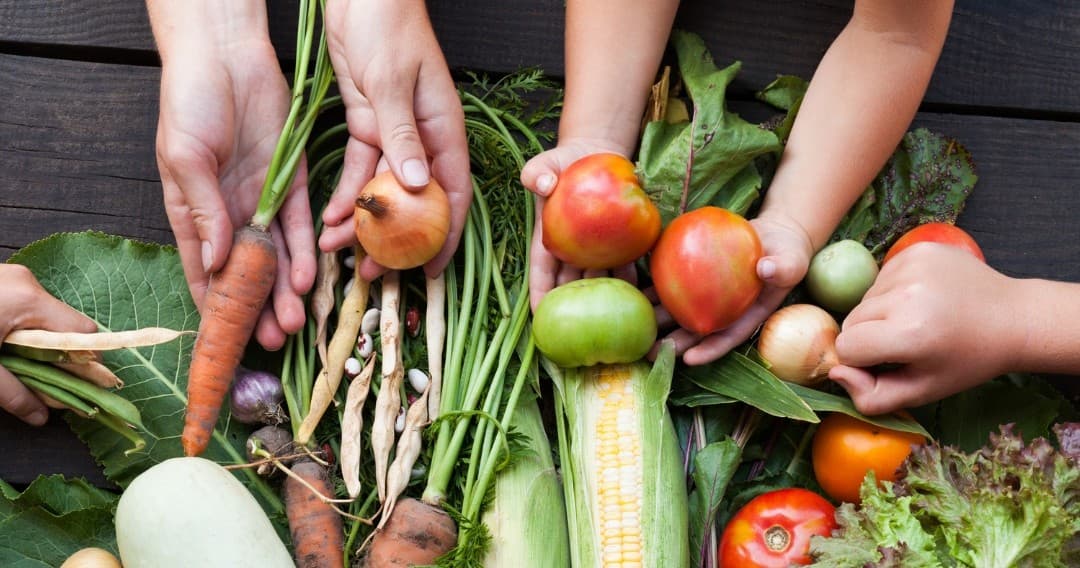 Farm-to-Table Adventure in Sintra with Farm Experiences & Tours