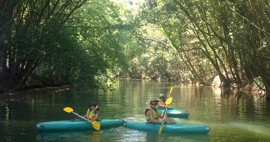 Moonlight Canoe Tours with Bellingen Canoe Adventures