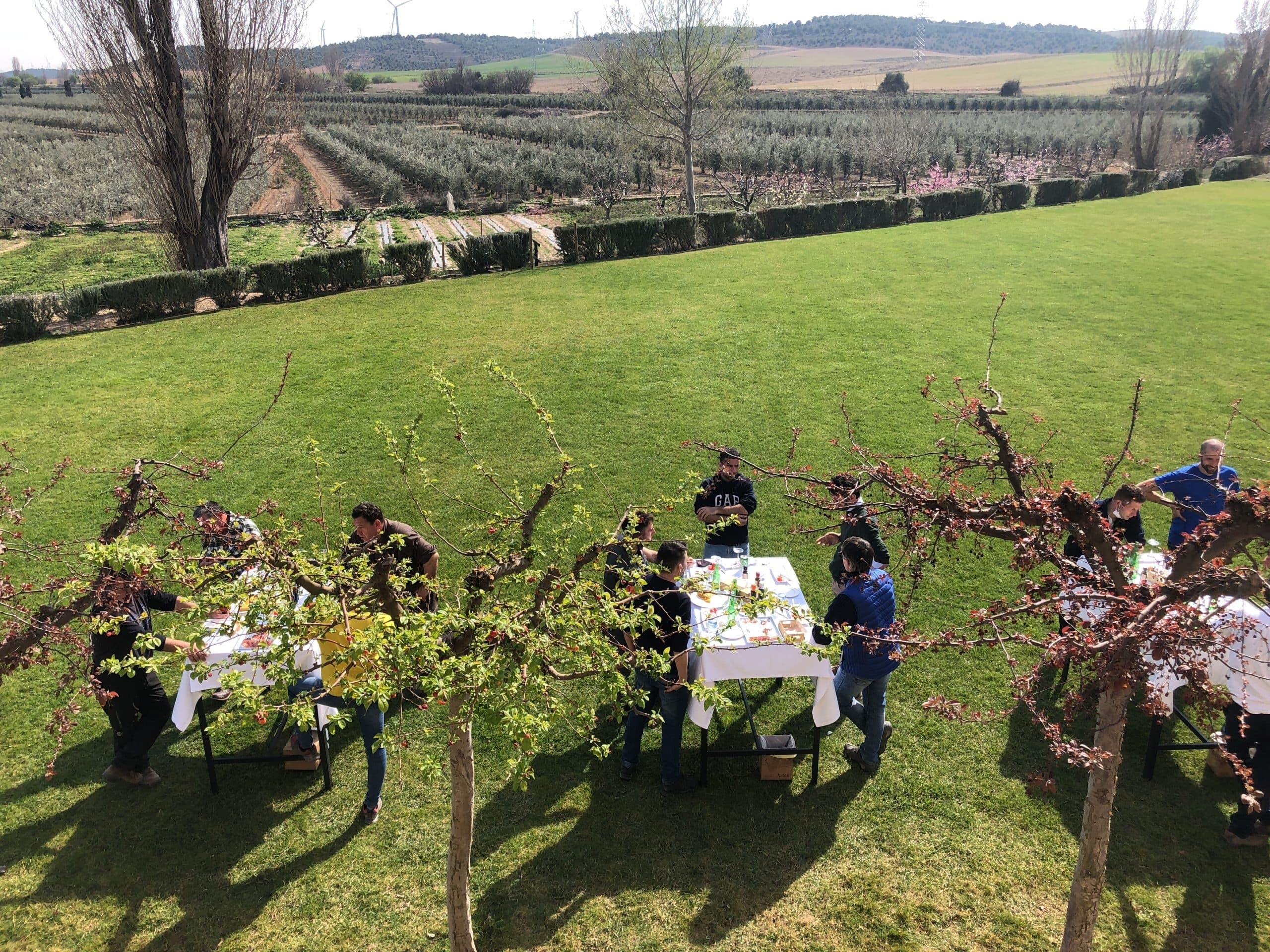 Outdoor group dining on grassy lawn beside orchards and vines