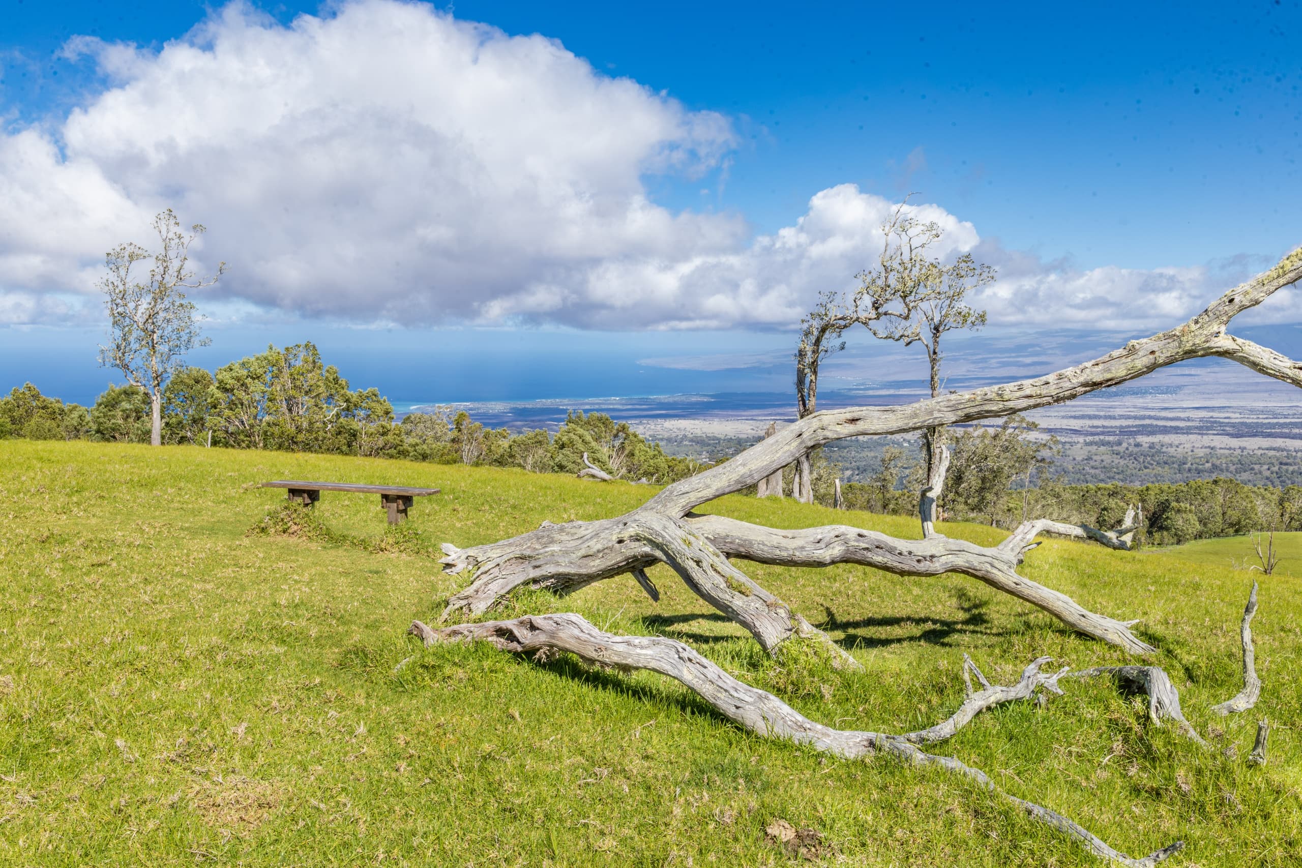 Pu'u Wa'awa'a Summit Hike: Dry Forest Adventure in Hawaii
