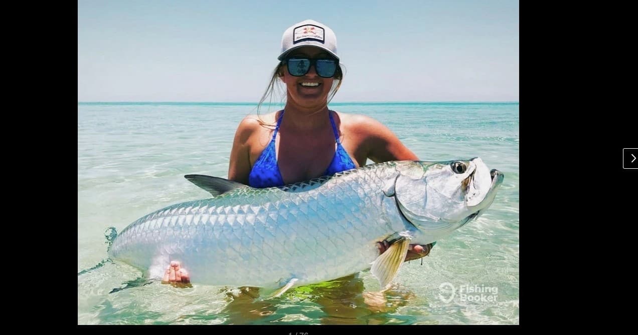 Tarpon Fishing with Inverted Fishing Charters in Treasure Island