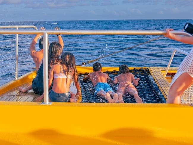 Ke Kai Waikiki Snorkel: Swim with Turtles at Turtle Canyon (90 Minutes) photo 4