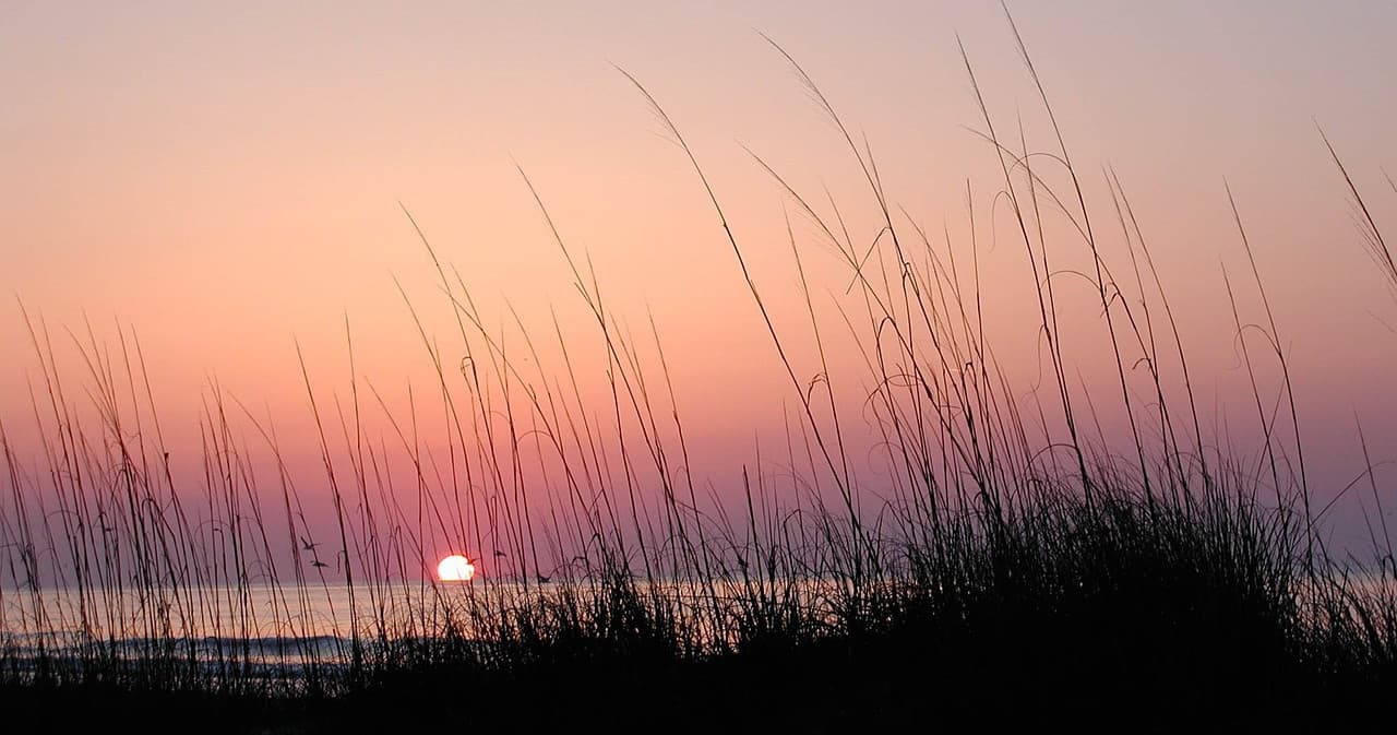 Explore Hilton Head Island with a Five-Day Bike Rental Adventure