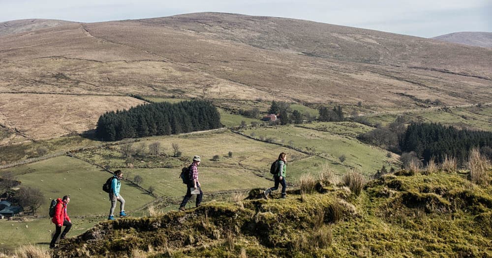 Hikers trekking along grassy coastal hills on a scenic trail