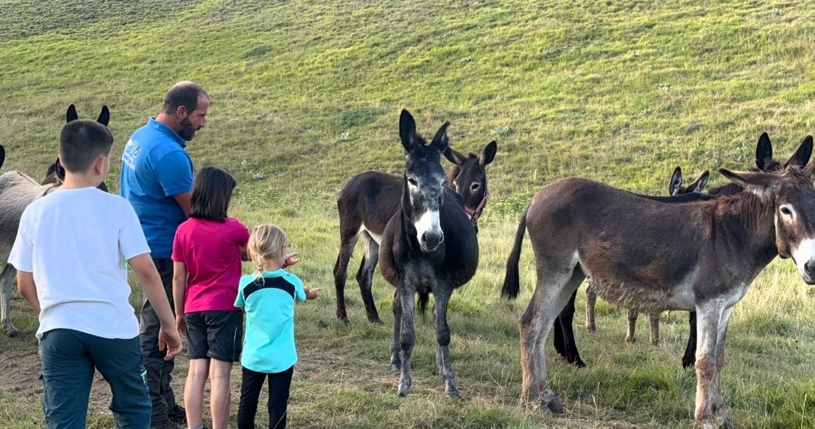 Hiking & Wildlife in Campo Imperatore with Cooperativa Il Bosso