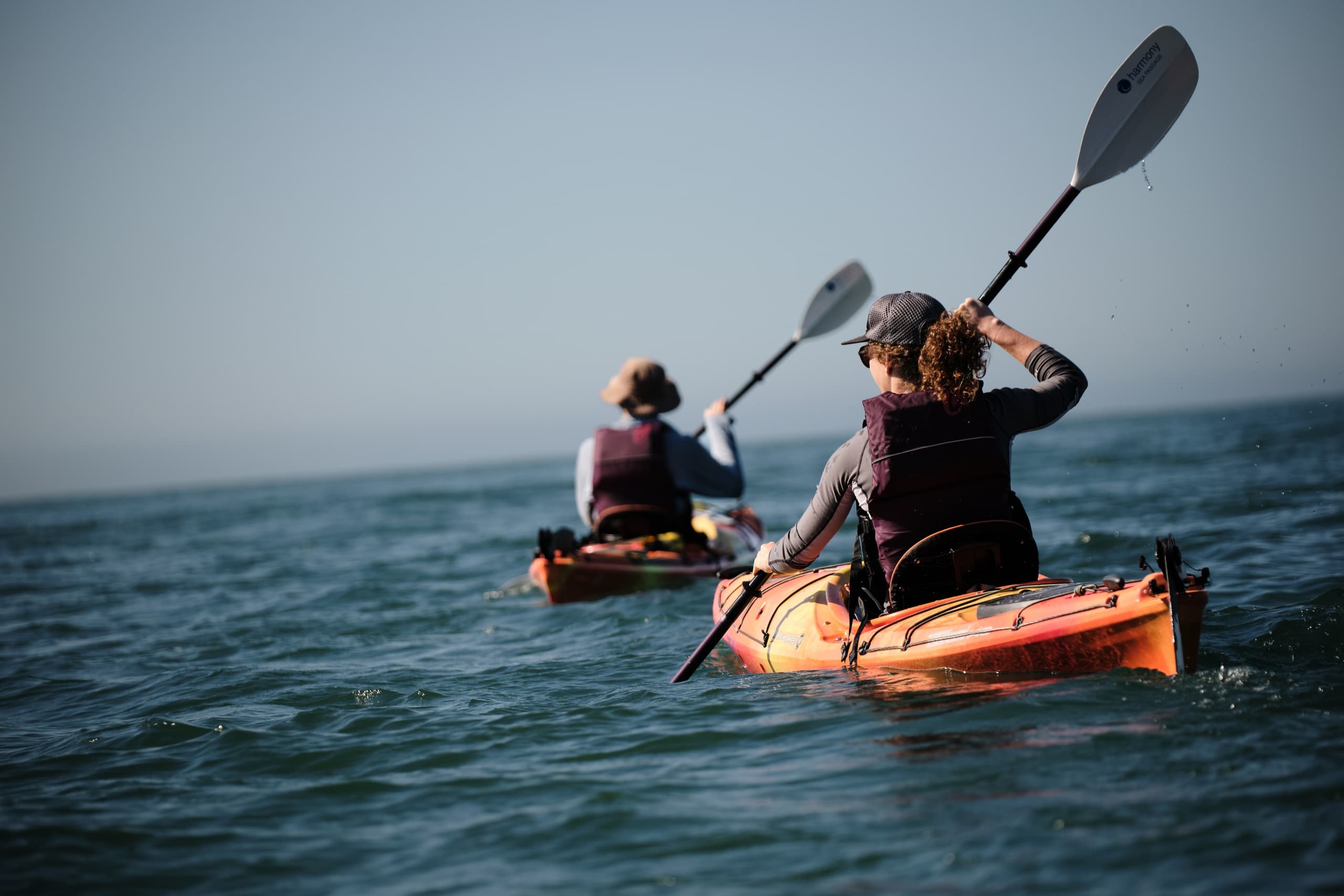 Wildlife Kayaking Adventure in Brookings Coastal Oregon