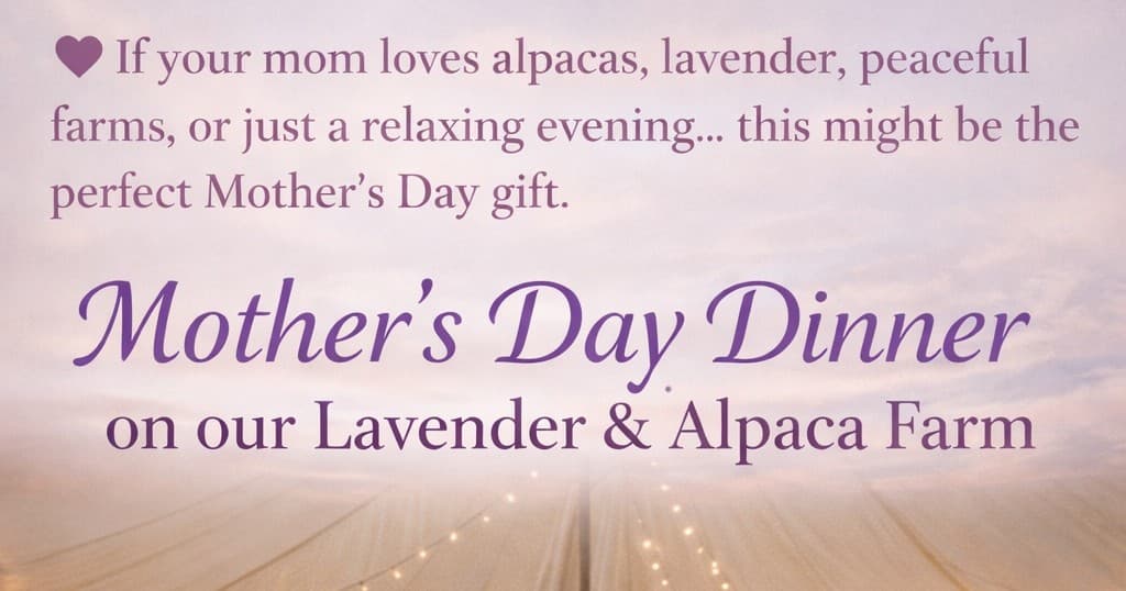 Lavender and Alpacas: Farm-to-Table Mother's Day Dinner in Montgomery, New Jersey photo 1