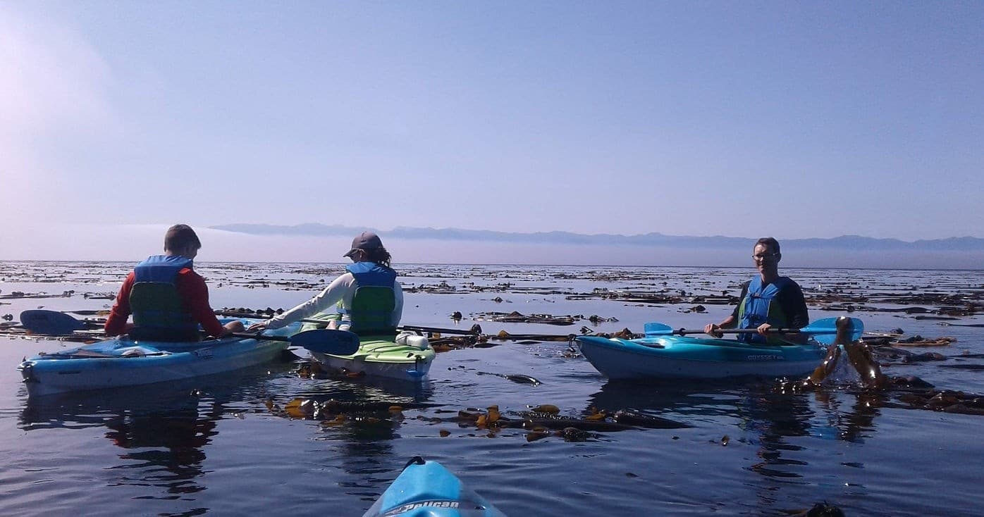 Ella Beach Kayak Tours in Sooke, BC