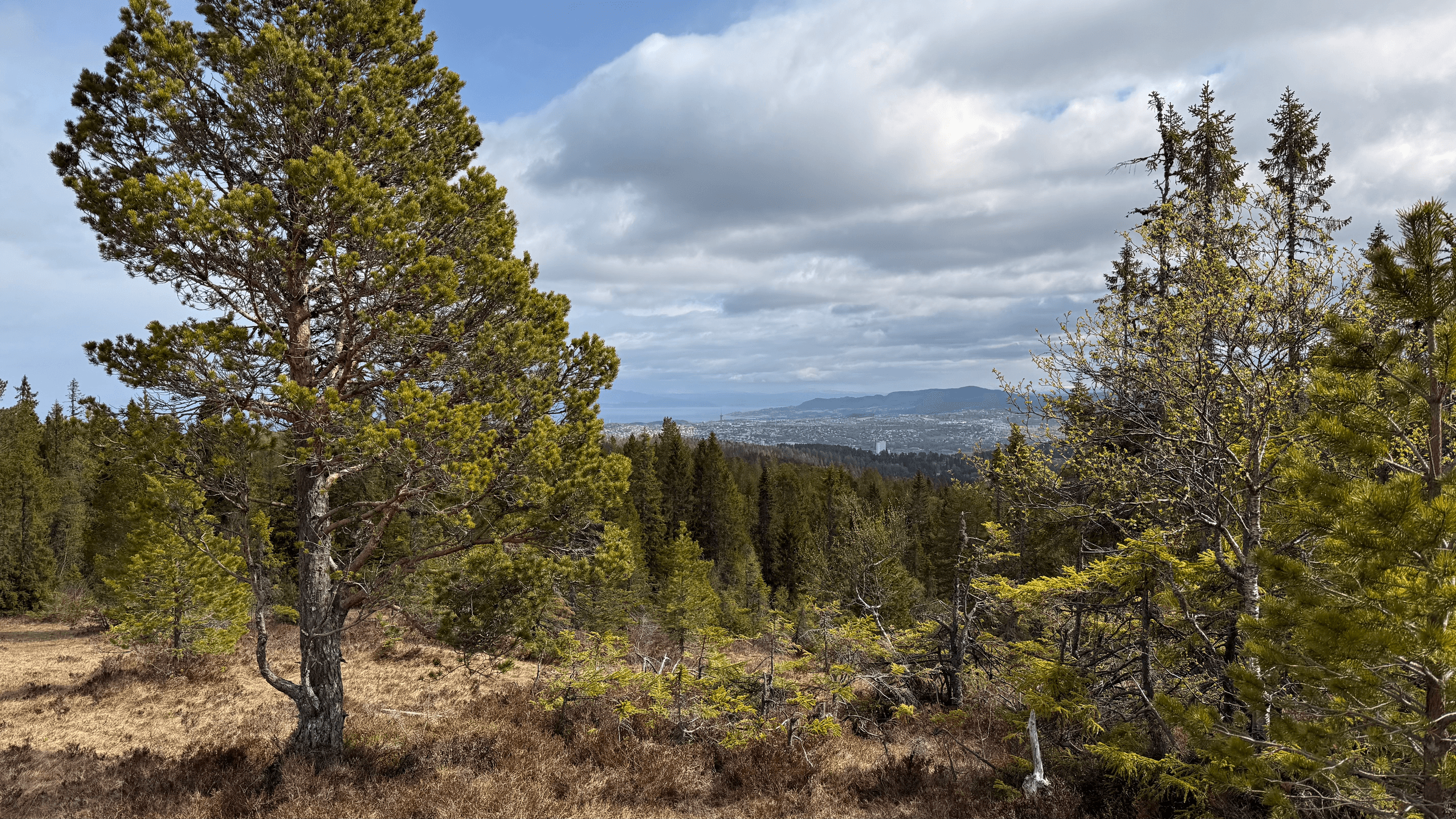 Trondheim Kajakk Hiking & Tram Adventures in Norway